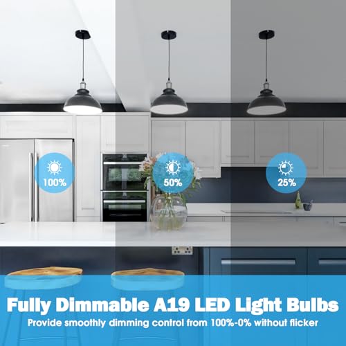 Maylaywood A19 LED Light Bulb 60W Equivalent, Dimmable 5000K Daylight White - color: Daylight White