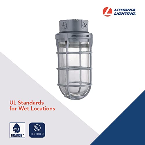 Lithonia Lighting Incandescent Vapor Tight Jelly Jar Light 150W 120V Grey - size: 150W Max, style: Ceiling Mount