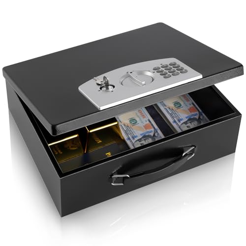 Dalmbox Fire Resistant Document Lock Box Safe Digital Keypad,Black - color: BLACK DIGITAL KEYPAD LOCK, size: Large