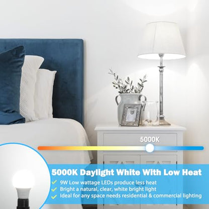 Maylaywood A19 LED Light Bulb 60W Equivalent, Dimmable 5000K Daylight White - color: Daylight White