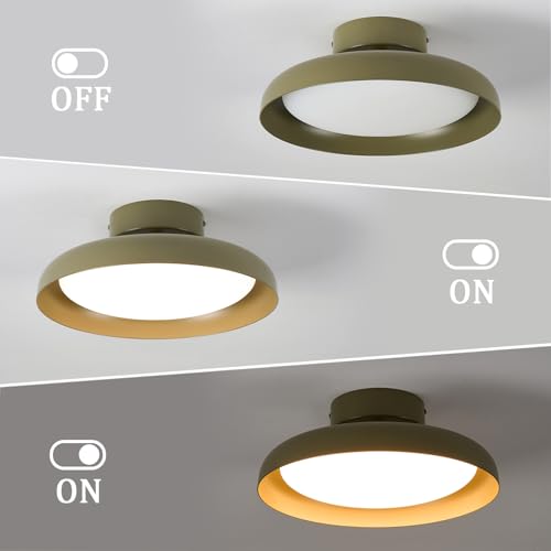 BISAMIYA Modern LED Ceiling Light, Brass Accent, 12.6 inch - color: Green