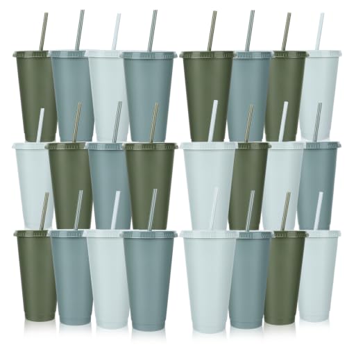 24 Pack Plastic Tumblers with Lids and Straws, Reusable Cups with Lids Plastic Colorful Cups for Parties Birthdays, Iced Coffee Cup Cold Drink Cups Bulk Tumblers (24 oz, Gradient Sage Green Colors) - color: Gradient Sage Green Colors