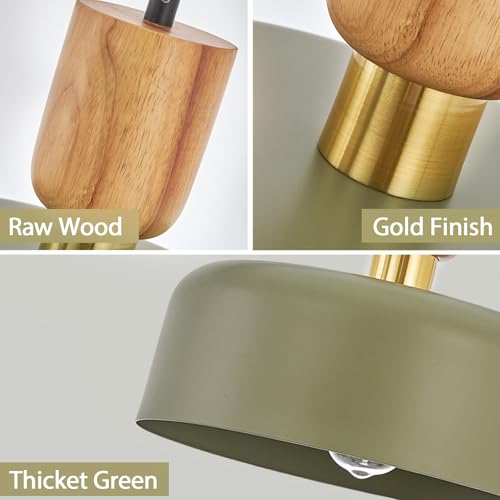 TeHenoo Contemporary Pendant Lighting, 12 inch, Green - color: Deep Green