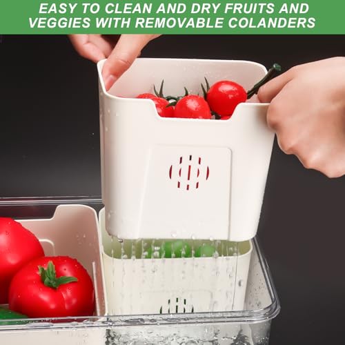 Fruit Storage Containers for Fridge with Lid and Handle, Veggie Tray Bins - color: High-4 Colanders