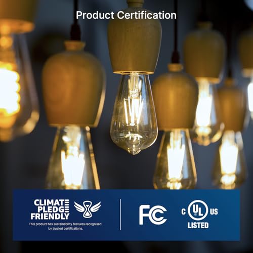FLSNT 7W LED Edison Bulbs, 60W Equivalent, 90+ High CRI, 4000K Cool White, ST19 LED Light Bulbs, 800LM, E26 Base, Dimmable, 12 Pack - color: 60w 4000k Cool White, size: 12 Count (Pack of 1)
