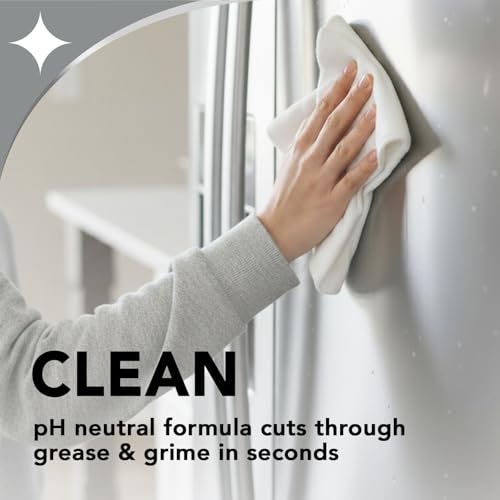 Weiman Stainless Steel Cleaner & Polish Kit, 2 Pack Aerosol & Cloth - size: 34 Ounce (Pack of 1)