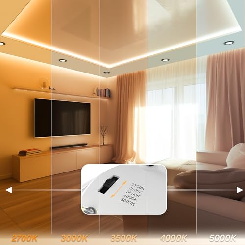 4 Inch LED Mini Surface Mount Light, Recessed Trim, Small Flush Mount Ceiling Light for Hallway, Bathroom, Kitchen, 120V, 60W Replacement, 5CCT Selectable, ETL, Wet Rated, Black/2 Packs - color: Black, size: 2 Packs