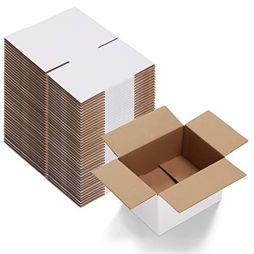 Calenzana 8x6x4 Shipping Boxes Set of 40, White Corrugated Cardboard Box for Mailing Packing Gifts Small Business - size: 8x6x4, style: 40 Pack