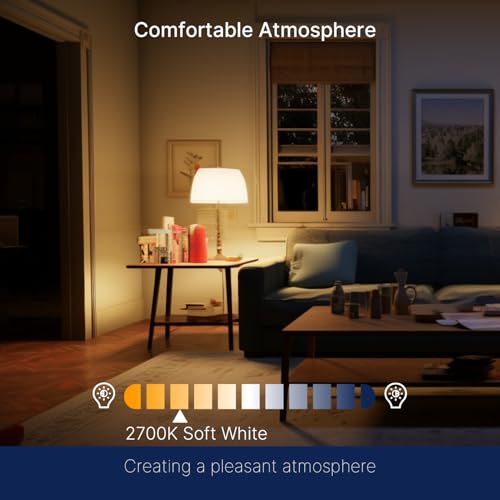 FLSNT 100W Equivalent LED Edison Bulbs, ST19/ST58 Dimmable LED Light Bulbs for Kitchen, Dining Room, High Brightness with 1000LM, 2700K Soft White, 8W, E26 Base, 4 Pack - color: 100w 2700k Soft White, size: 4 Count (Pack of 1)