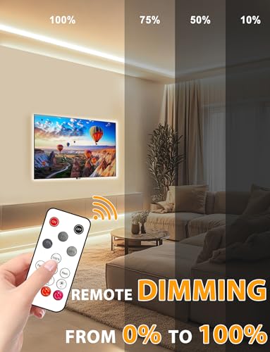 Lamomo COB LED Strip Lights 65.6ft, Natural White Rope with Remote, 2 Roll - color: Natural White, size: 65.6Ft