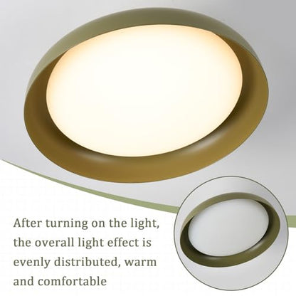 BISAMIYA Modern LED Ceiling Light, Brass Accent, 12.6 inch - color: Green