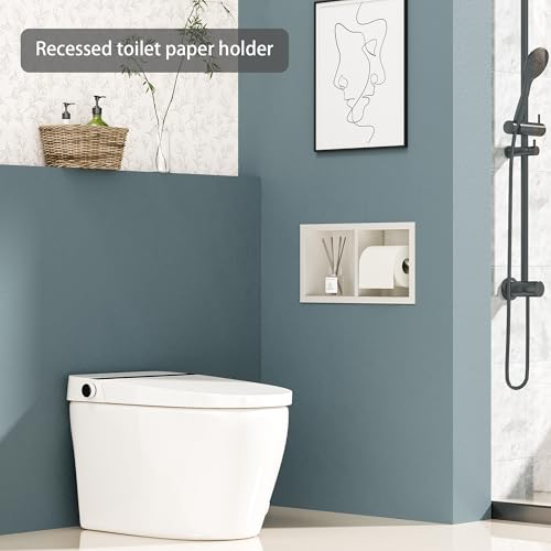 Neodrain White Recessed Toilet Paper Holder,for Standard/Mega Roll - color: White