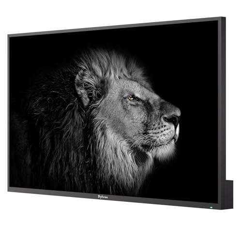 SYLVOX Mini-LED QLED Outdoor TV, 65 inch Full Sun Outdoor TV 3500 nits - size: 65-inch, style: Cinema Pro