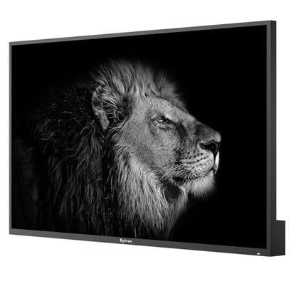 SYLVOX Mini-LED QLED Outdoor TV, 65 inch Full Sun Outdoor TV 3500 nits - size: 65-inch, style: Cinema Pro
