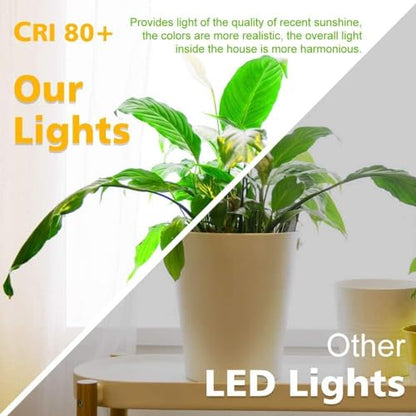 2 Inch LED Downlight, Recessed Lighting Dimmable Ceiling Light, 3W, 3000K Warm White, CRI80 with LED Driver(35W Halogen Equivalent), 20 Pack - color: Warm White, size: White/20 Pack