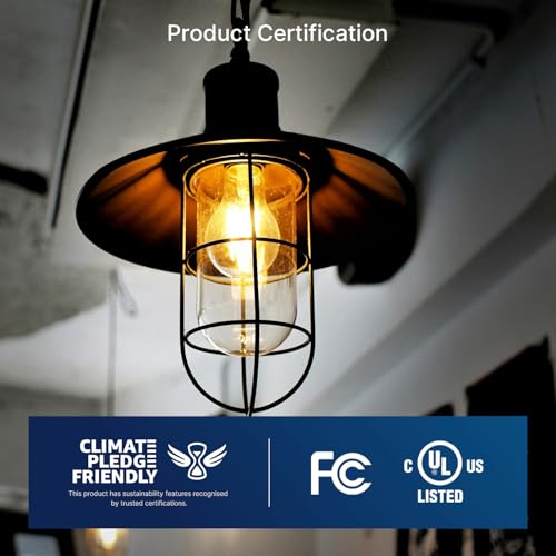 FLSNT 100W Eq Dimmable A21 LED, 1600LM, 2700K, E26, 8P - color: 100w 2700k Soft White, size: 8 Count (Pack of 1)