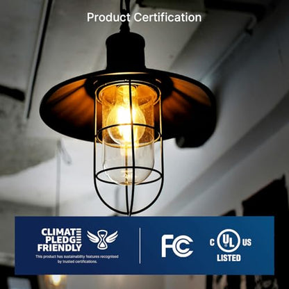 FLSNT 100W Eq Dimmable A21 LED, 1600LM, 2700K, E26, 8P - color: 100w 2700k Soft White, size: 8 Count (Pack of 1)