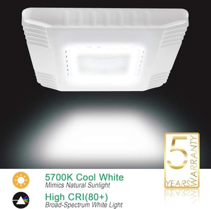 OSTEK LED Canopy Light 150W Gas Station Carport Ceiling Light 5700K