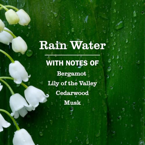Mrs. MEYER'S CLEAN DAY Multi-Surface Cleaner Concentrate, Rain Water, 32 Fl Oz (Pack of 6) - size: 32 Fl Oz (Pack of 6)