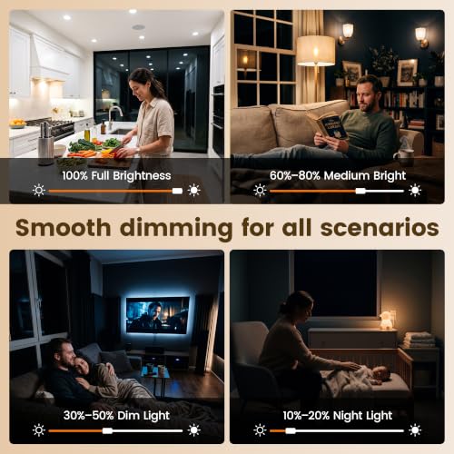 SURAIELEC Dimmer Light Switch, Fit for 300W LED/CFL and 600W INC/HAL
