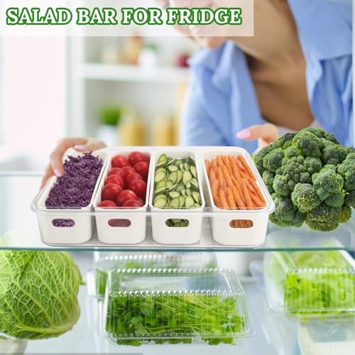 Salad Bar Containers for Fridge with Lid Handle, Fruit Storage Veggie Tray - color: 4 Colanders