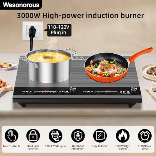 2 burner induction cooktop,110V 3000W 2 burner induction plate with Brushed Panel LED Knob Control, induction stove top with 9 Power Levels, Kids Lock & Timer,24 Inch double induction cooktop - size: 2 Burner induction Cooktop