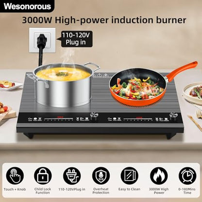 2 burner induction cooktop,110V 3000W 2 burner induction plate with Brushed Panel LED Knob Control, induction stove top with 9 Power Levels, Kids Lock & Timer,24 Inch double induction cooktop - size: 2 Burner induction Cooktop