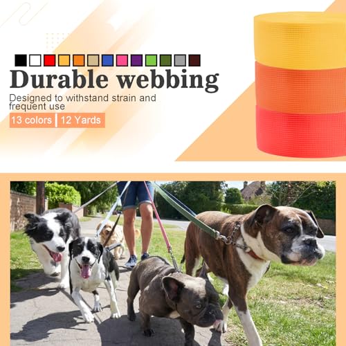 CooBigo 12 Yards Webbing 1 Inch Wide Polypropylene Webbing Strap 1" Webbing Strapping for Bags/Lawn Chair/Pool Solar Cover DIY Crafting