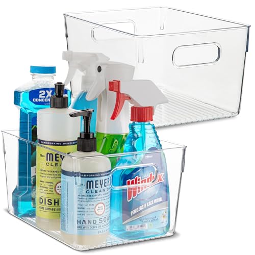 Plastic Food Storage 2 Pack Clear Container Bin with Handles for Organizing Kitchen, Pantry, Refrigerator, Freezer, Pantry, Cabinet, Closet, Bathroom. 10”x7.5”x5.3” - size: 10x7.5x5.3