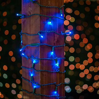 Novelty Lights 50ft 100 LED Blue Christmas Lights, Green Wire, Outdoor - color: Blue