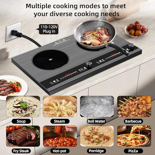 2 burner induction cooktop,110V 3000W 2 burner induction plate with Brushed Panel LED Knob Control, induction stove top with 9 Power Levels, Kids Lock & Timer,24 Inch double induction cooktop - size: 2 Burner induction Cooktop