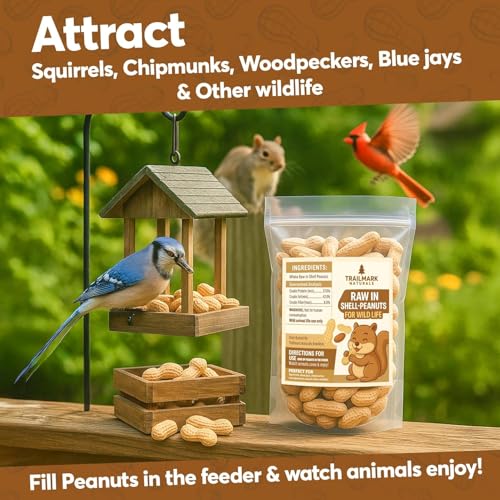 12 LB - Raw Peanuts for Squirrels, Raw in Shell Peanuts for Birds and Wildlife- Squirrel Food, Wild Bird Seed - Grown in The USA