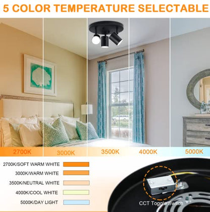 CLOUDY BAY 5CCT 3 Light Directional Ceiling Spotlight,Dimmable LED Track Light Heads,CRI90+,1800Lm for Hallway Kitchen Art,Black - color: Black | 5CCT