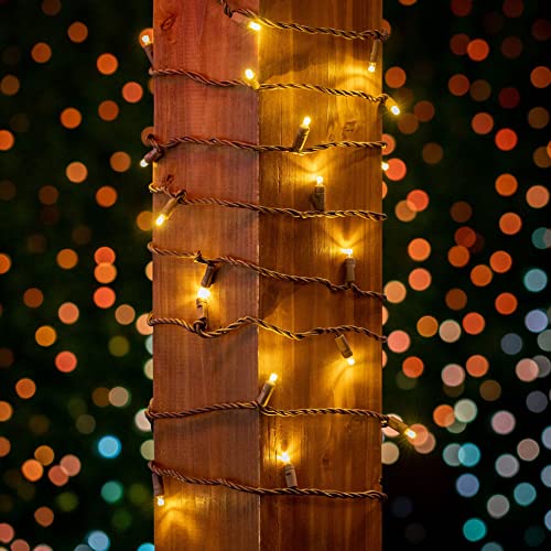 100 Warm White Wide Angle LED Mini Lights, 50 Ft, Brown Wire