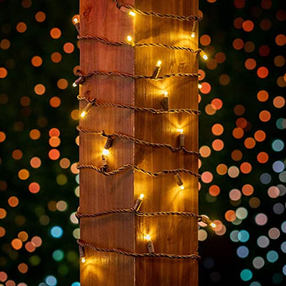 100 Warm White Wide Angle LED Mini Lights, 50 Ft, Brown Wire