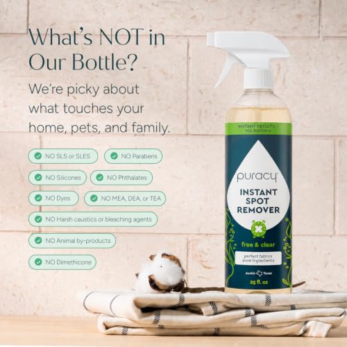 Puracy Laundry Stain Remover for Clothes Laundry - Carpet Stain Remover Carpet Spot Cleaner Couch Stain Remover - Clothes Spray, Free & Clear - Instant Spot Remover, 25 Fl Oz (Pack of 1) - size: 25 Fl Oz (Pack of 1)
