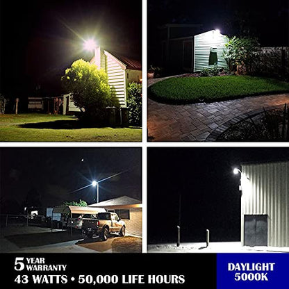 LuminaGuard 43W LED Barn Light with Arm, Silver Gray Yard Street Light