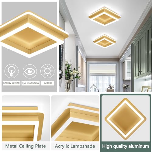 CANEOE 2 Packs Square Modern LED Light Fixture, 24W Black Flush Mount Hallway Light, Small Close to Ceiling Lamp for Living Room, Bedroom, Kitchen, Balcony, Cloakroom (All Gold, 2 Packs) - color: All Gold, size: 2 Packs