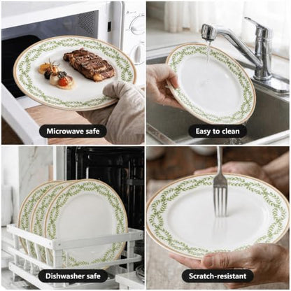Bone China Dinnerware Set for 4, 12 Pcs White Plates and Bowls, Green Rim - color: Green