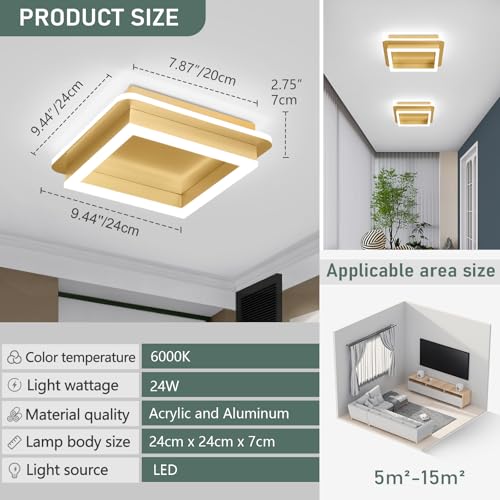 CANEOE 2 Packs Square Modern LED Light Fixture, 24W Black Flush Mount Hallway Light, Small Close to Ceiling Lamp for Living Room, Bedroom, Kitchen, Balcony, Cloakroom (All Gold, 2 Packs) - color: All Gold, size: 2 Packs