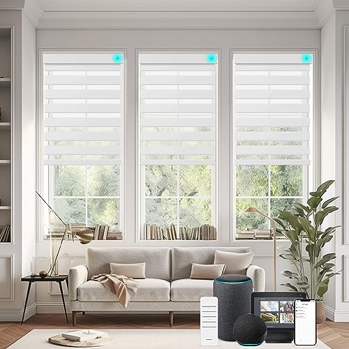 Changshade Custom Smart Motorized Zebra Roller Blinds Shades for Indoor Windows Doors Remote Control, Cordless Electric Automatic Customized Size Work with Alexa, Google Home, Apple Homekit（Grey） - color: Grey, size: Smart-Custom Size