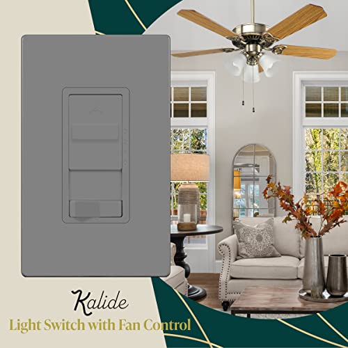 TOPGREENER Ceiling Fan Control and Light Switch, 3-Speed, Gray - color: Grey, size: Light Switch with Fan