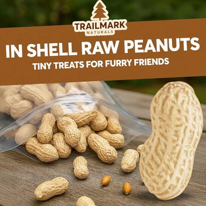 2 Pack of 15 Lb Bags (30 Pounds total) - Raw Peanuts For Squirrels, Raw In Shell Peanuts For Birds and Wildlife- Squirrel Food, Wild Bird Seed - Grown in The USA