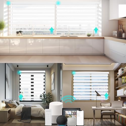 Changshade Custom Smart Motorized Zebra Roller Blinds Shades for Indoor Windows Doors Remote Control, Cordless Electric Automatic Customized Size Work with Alexa, Google Home, Apple Homekit（White） - color: Light White, size: Smart-Custom Size