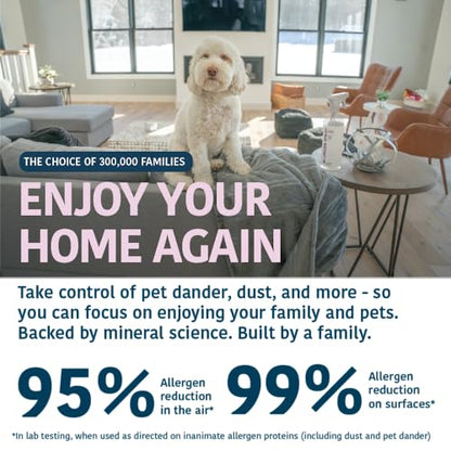 Allergy Asthma Clean Allergen Spray, Pet, Dust Allergies & More 64oz Total - size: 64 Ounce (Pack of 1)