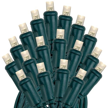 Novelty Lights 50ft 100 LED Warm White Christmas Lights, Green Wire - color: Warm White