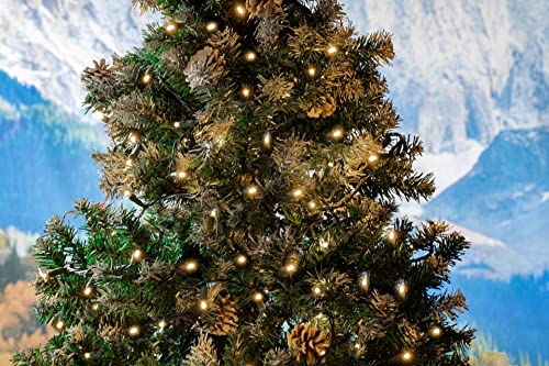 Novelty Lights 50ft 100 LED Warm White Christmas Lights, Green Wire - color: Warm White