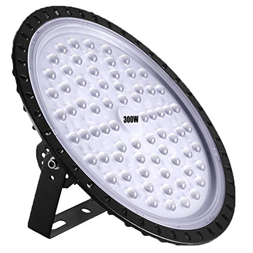 300W LED High Bay Light lamp Factory Warehouse Industrial Lighting 24000 Lumen 6000-6500K IP65 Warehouse LED Lights- Commercial Bay Lighting for Garage Factory Workshop Gym (300W 1) - size: 300W 1pcs
