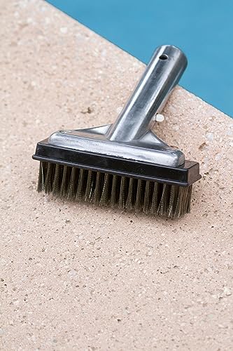 Poolmaster 5-Inch Stainless Steel Pool Algae Detail Brush, Heavy-Duty Aluminum Back, for Gunite Concrete Pools and Spas, Small Narrow Head for Corners, Steps and Tight Areas 5-Inch (Pack of 12) - size: 5-Inch (Pack of 12)