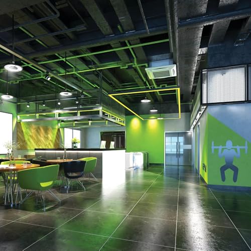 Lithonia Lighting Compact Pro Round LED High Bay Light, Ceiling Lighting Fixture, Adjustable 12000/15000/18000 Lumens, Selectable 4000K/5000K, UVOLT 120–347V, White (CPRB ALO13 UVOLT SWW9 80CRI DWH) - size: 13-Inch | Switchable White Light, style: Adjusta